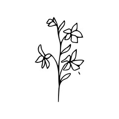 Minimalist Hand Drawn Floral Bouquet Illustration