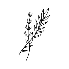 Minimalist Hand Drawn Floral Bouquet Illustration