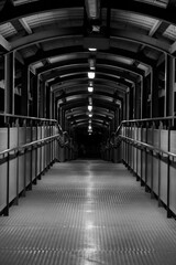 Pedestrian bridge with a metallic walkway and arched overhead structure at night