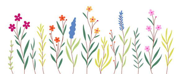 set of spring flowers