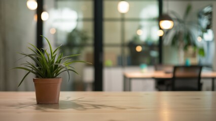indoor office space, wooden desk, potted plant, air plant, blurred background, glass partition, soft lighting, minimalist design, modern workplace, peaceful atmosphere, shallow depth of field, warm to