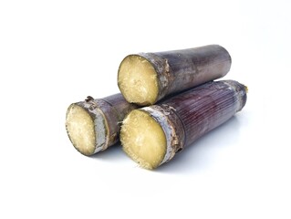 Saccharum officinarum Linn or Sugarcane cuttings isolated on white background 