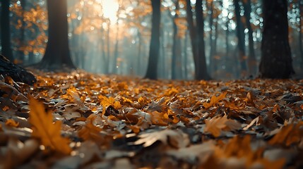Autumn Forest with Golden Leaves on the Ground in Soft Morning Light