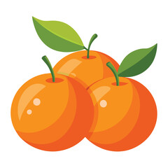 illustration of an orange