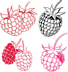 Raspberry Fruits Icon Set | Vector Illustration