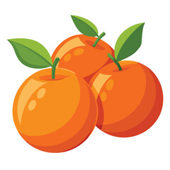 illustration of ripe apricots