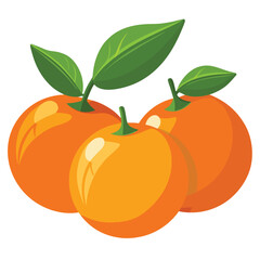 illustration of an orange fruit
