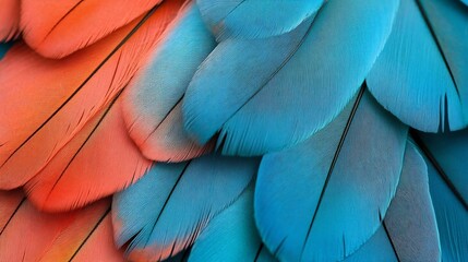 Macro Photograph of Colorful and Intricate Feather with Copy Space for Imagery