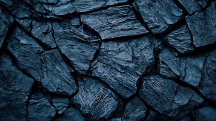 Fototapeta premium Closeup View of Dark Textured Tree Bark with Rugged Natural Patterns