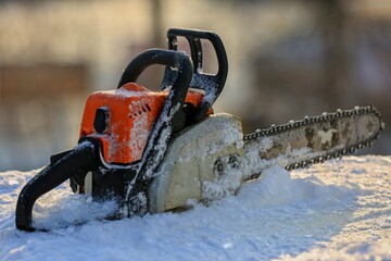 chainsaw on a tree