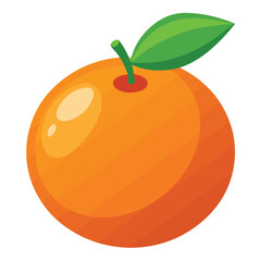 orange fruit vector illustration