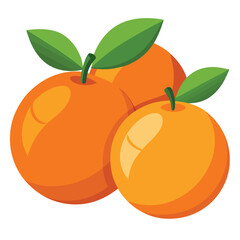 illustration of an orange