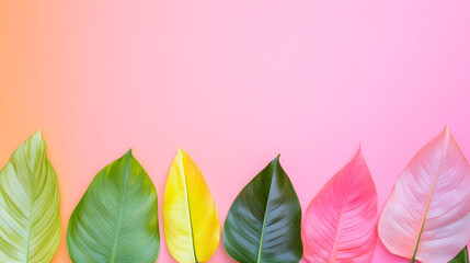 Fototapeta premium A Captivating Display of Tropical Leaves in Fluorescent Colors Against a Soft Pink Background for an Energizing Vibe
