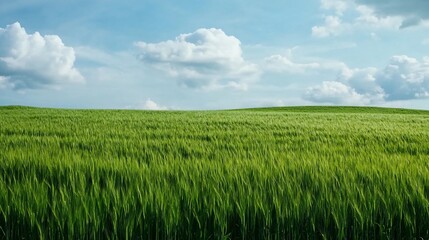 Fototapeta premium Dramatic Stormy Skies Above Lush Green Meadow Landscape with Copy Space