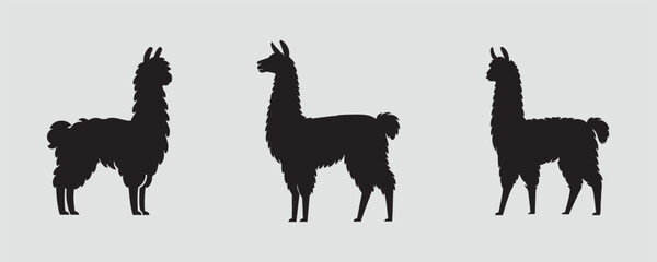 Three llama silhouettes in various standing positions, featuring woolly bodies and upright ears, displayed on a simple gray background in a minimalist vector style