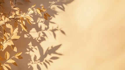 Dried leaves with a golden hue are silhouetted against a soft, warm-toned wall, casting intricate patterns of shadows. This natural display evokes a serene autumn atmosphere