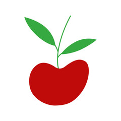 red cherry with leaf