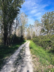 Fototapeta premium A walking path in the countryside, Italy