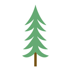 illustration of pine tree