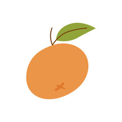 illustration of an orange