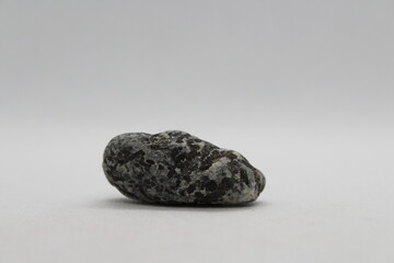 close up of sample of natural stone from geological collection - unpolished gabbro-norite mineral...