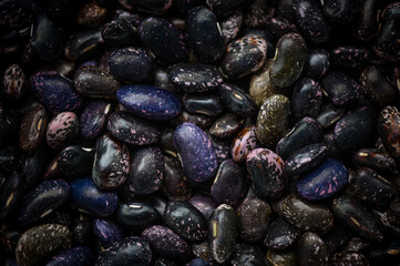 Colorful collection of black and purple beans ready for culinary creativity in a rustic kitchen setting