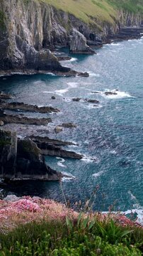 Dark, steep cliffs form a dramatic rocky coastline. The ocean is a bluish-green color. Small waves are present. Some pink flowers are shown.