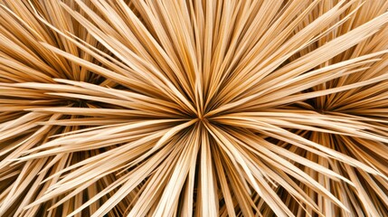 Desert Plant Abstract: A Textured Tapestry of Beige and Brown Hues