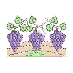 vineyard vector icon, vineyard vector illustration - simple illustration of vineyard, perfect for logos,and vineyard -themed designs.