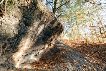 Explore the unique geological features and erosion patterns seen along a forest path during early...