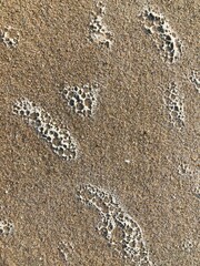 stone wall texture,Brown gold texture background. Soft brown gold sand texutred surface,Seamless sand background. Close up,Gold sand on the beach, background series,beige sand surface
