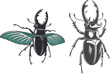 Stag beetle bundle design art and illustrator eps