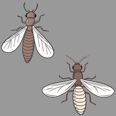 Termite bundle design art and illustrator eps
