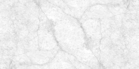 Abstract earth cracks texture on isolate vector background, Black and white old dirty texture, white and black cracks Transparent texture with vector marble pattern background.