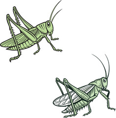 Grasshopper bundle design art and illustrator eps