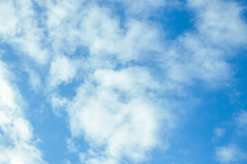 Obraz premium Blue sky with fluffy clouds. Celestial calm background, pure colors.