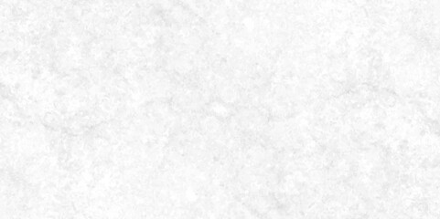 Abstract earth cracks texture on isolate vector background, Black and white old dirty texture, white and black cracks Transparent texture with vector marble pattern background.