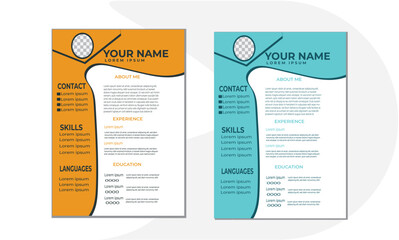 professional and creative cv design