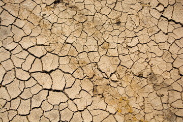 Cracked dry soil surface in summer