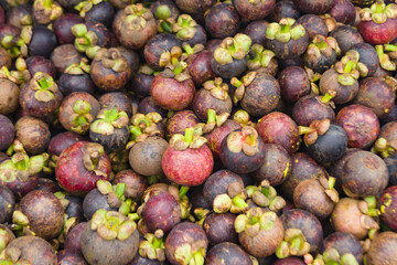 A pile of tempting mangosteen fruit