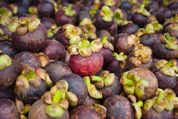 A pile of tempting mangosteen fruit