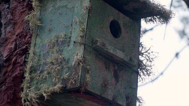Birdhouse from a scenic coastal trail along La Gomera's rugged northern coastline near Agulo, showcasing the island's wild beauty.