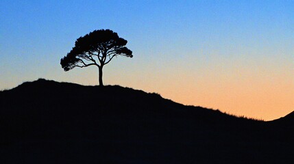 Silhouette of Lonely Tree on Hilltop at Sunset