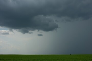 Vibrant Field Under an Impending Storm