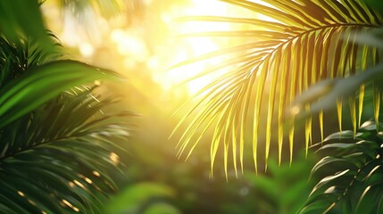 Obraz premium Tropical forests restored to absorb more carbon from the atmosphere