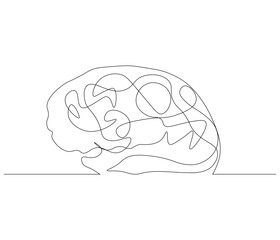 One continuous line drawing of human brain. Single line of human brain vector illustration