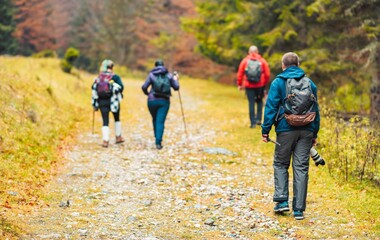 A group of enthusiastic adventurers strolls along a winding forest path, surrounded by colorful foliage and the sounds of nature. Their spirits high, they connect with the outdoors