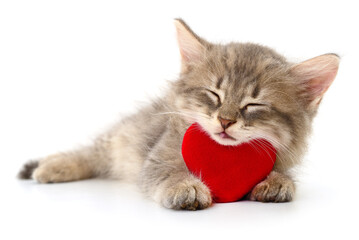 Kitten with valentine heart.