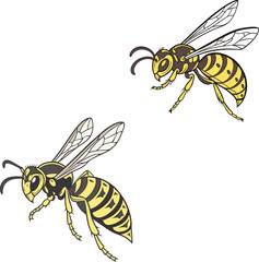 Hornet bundle design art and illustrator eps