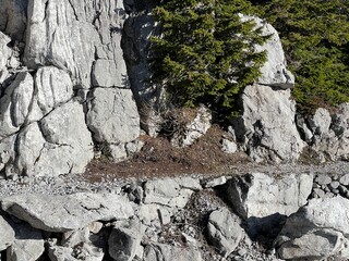 Premuzic hiking trail or Premuzic Trail - Northern Velebit National Park, Croatia or Premuzic-Wanderweg or Premuzic's Trail (Pješački planinarski put Premužićeva staza - NP Sjeverni Velebit, Hrvatska)